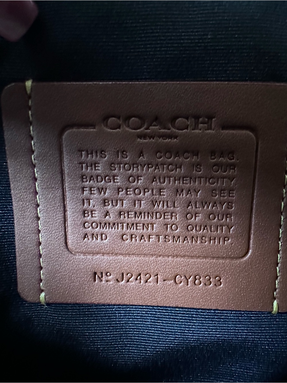 Coach Ethan Pebbled Leather Sling Backpack! - Picture 11 of 11